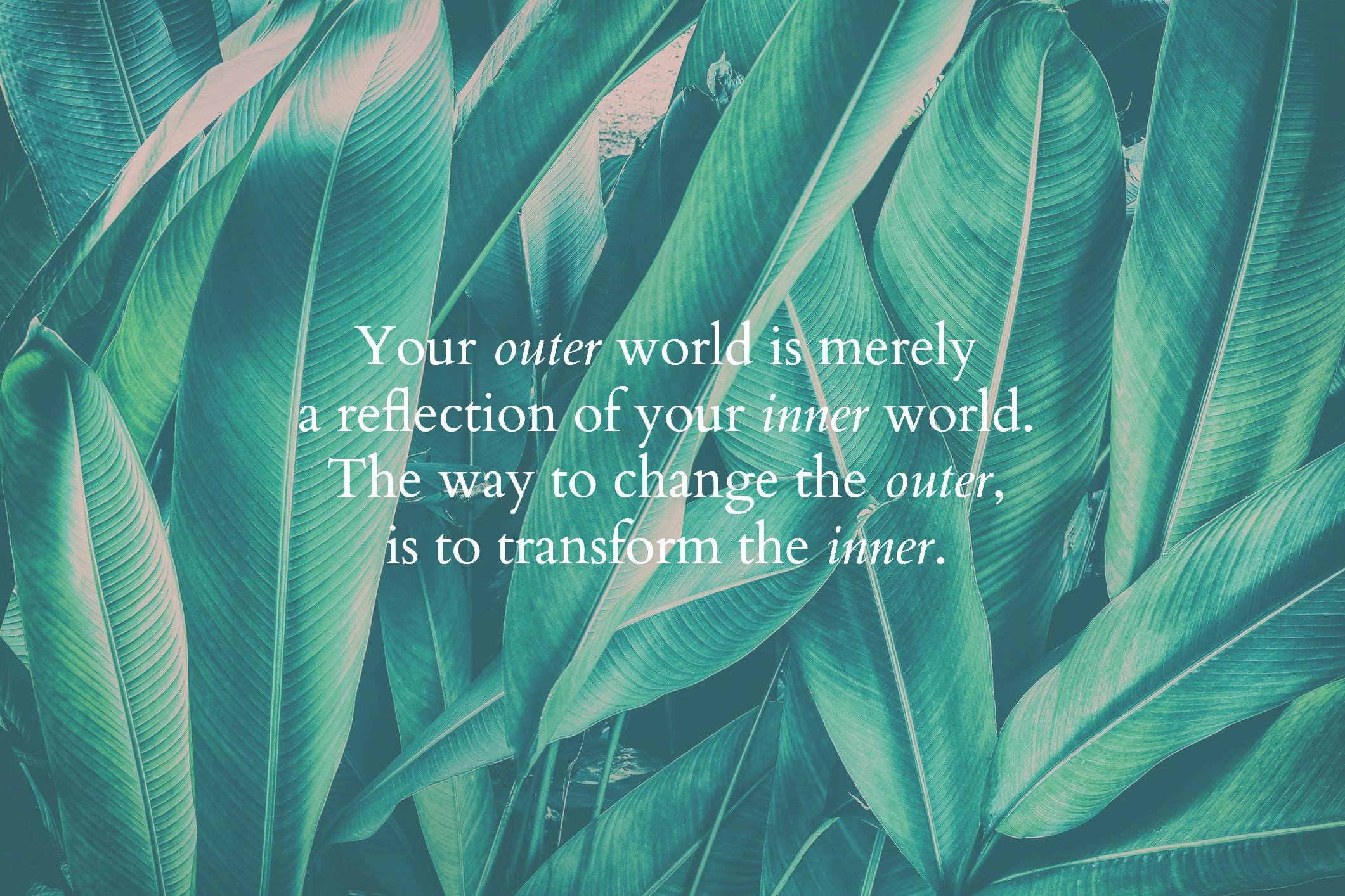 Banana Leaves quote 5 Michelle Capper Fay