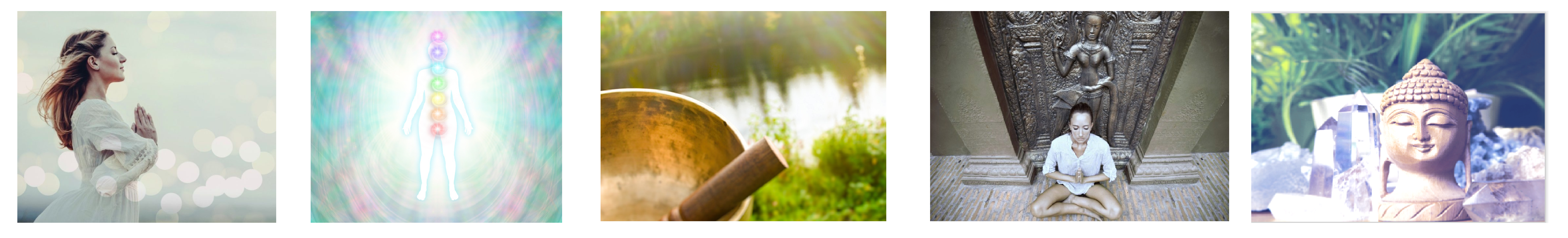 SVH Course Banner new 1 The Serenity Healing Retreat