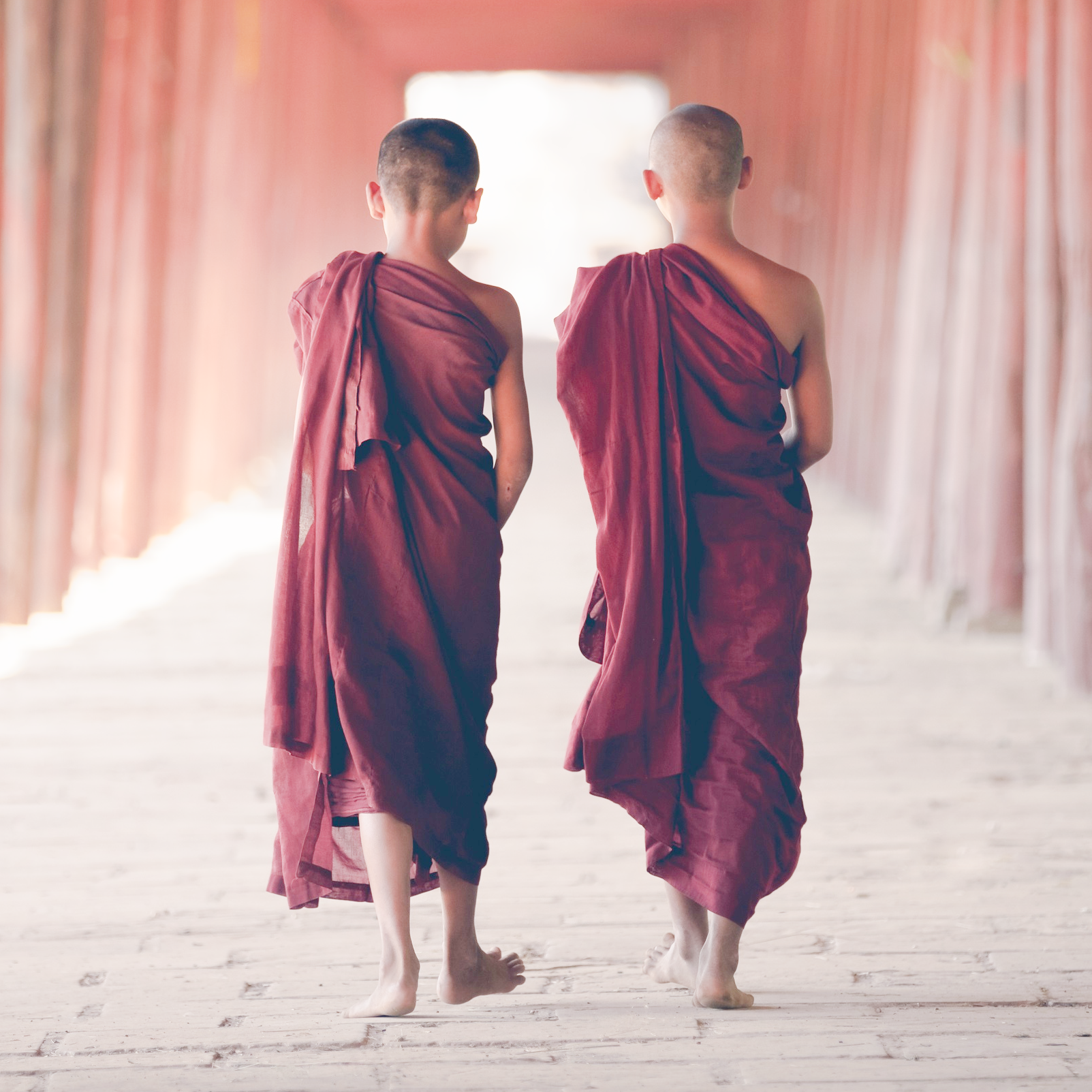 Novices 4 Novices 4